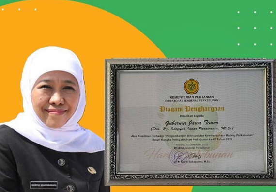Pemprov Jatim Raih Penghargaan Pengembangan Hilirisasi dan Kewirausahaan Bidang Perkebunan