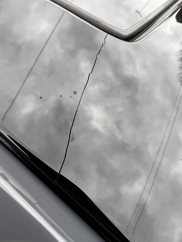 6462AF0B-2919-414F-87F1-7F391C7DBD14