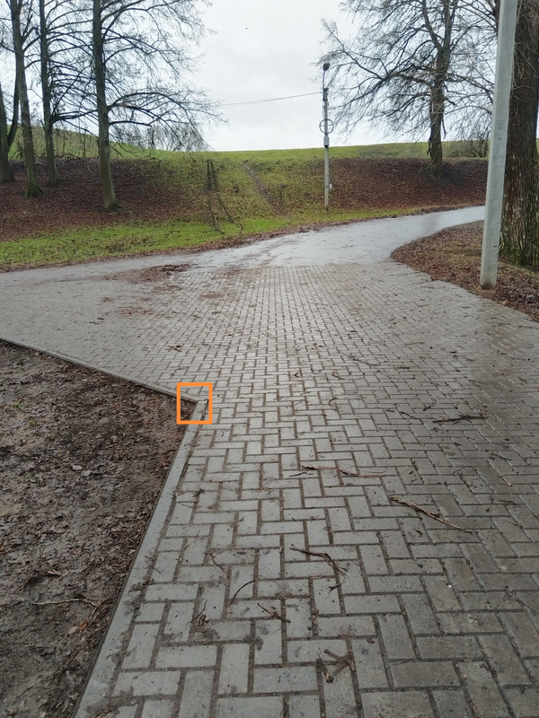 IMG 20251221 141909 edit 285469850270215