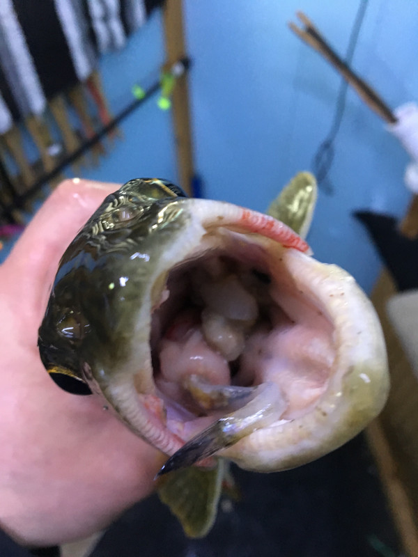 07A1BDDC-E84C-468B-8D24-76DC20E8FA31