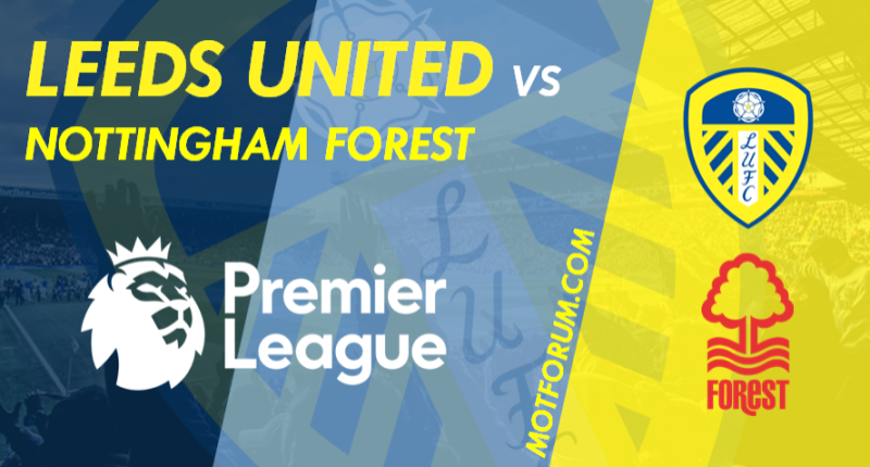 Forest PL 2