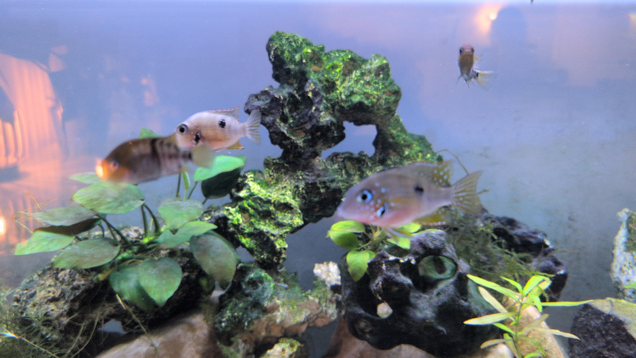 2025 11 1018 53 052667541508069264716