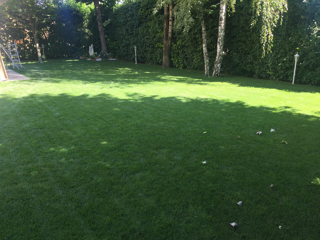 84425CD3-EA70-479F-88FC-256597536512