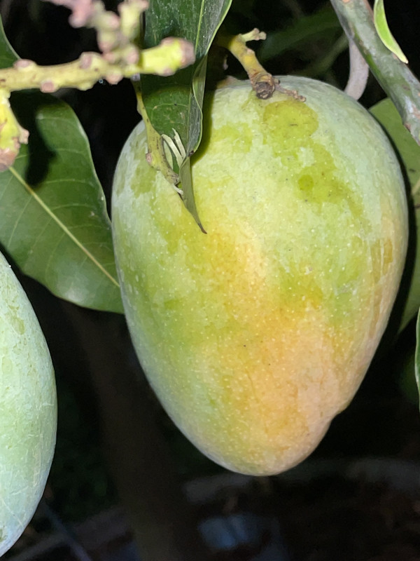 3240DF01-5C9C-44C1-A5B3-AD8BEDF23CE7