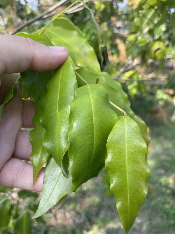 16E34680-4728-4AEE-BB90-084446F05A1F