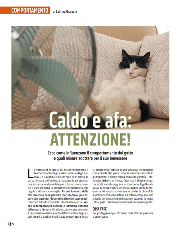 QuattroZampe Lug 2024 (3)