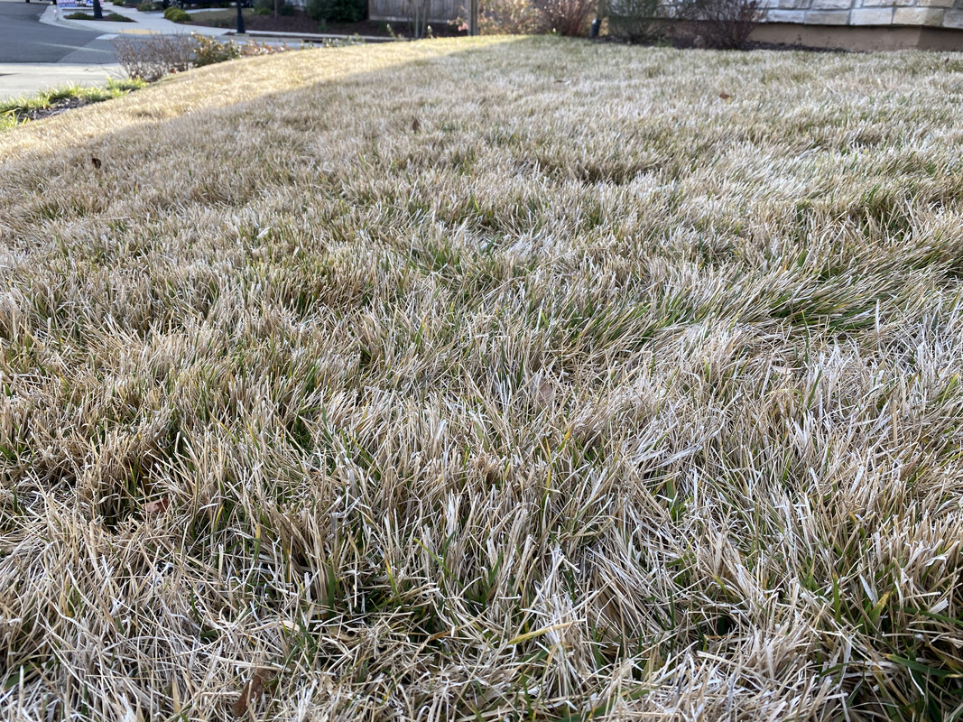 CB6C0468-F631-4092-9891-AB341B60C387