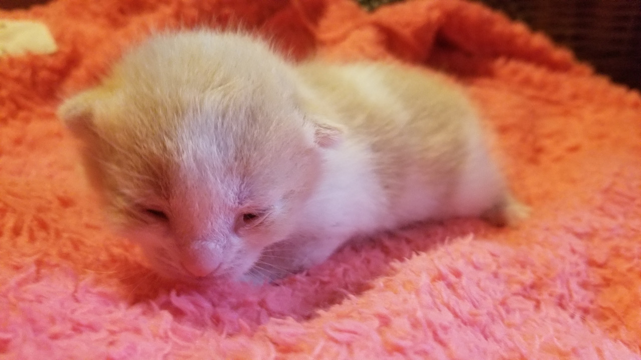 20220525_190735(0)[1]