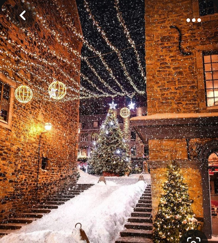 Screenshot_20231005_233343_Pinterest