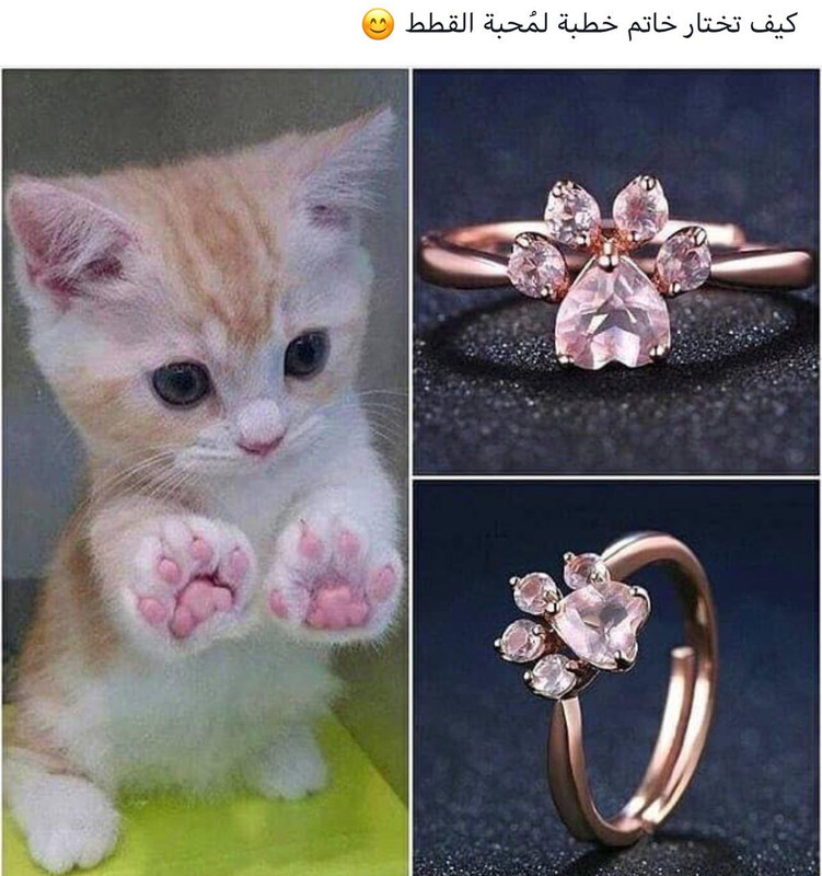 0DCF9D1C-B743-43C2-80A9-21AA9044CA1C