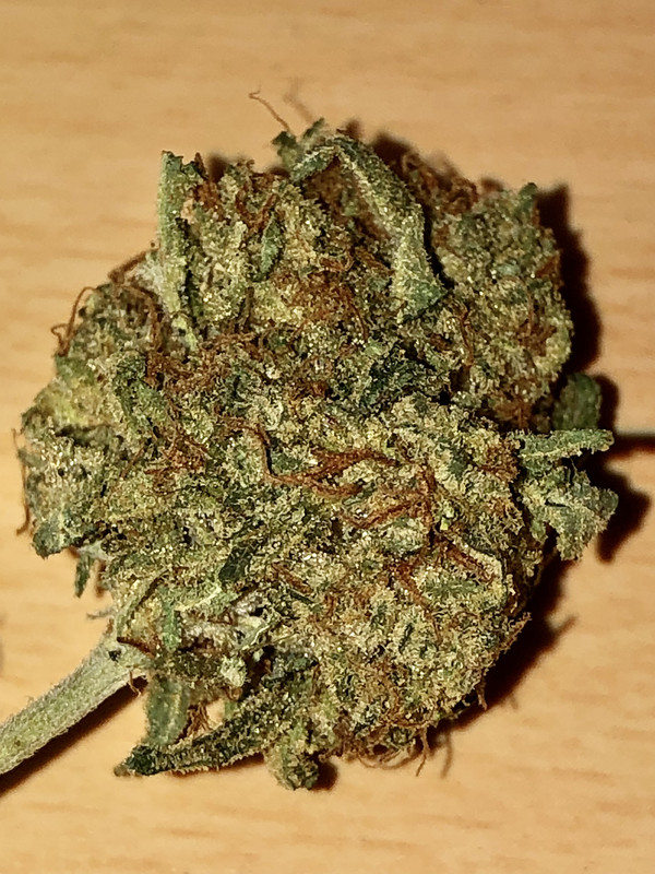 57A88ADA-ECE9-4B4A-A2CB-E04FDB7F2606