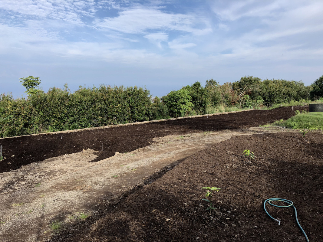 B91AA549-4E8C-4F4C-ACE0-B3E4C2FC7355