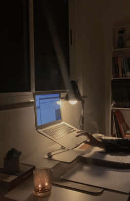 IMG-2046.gif