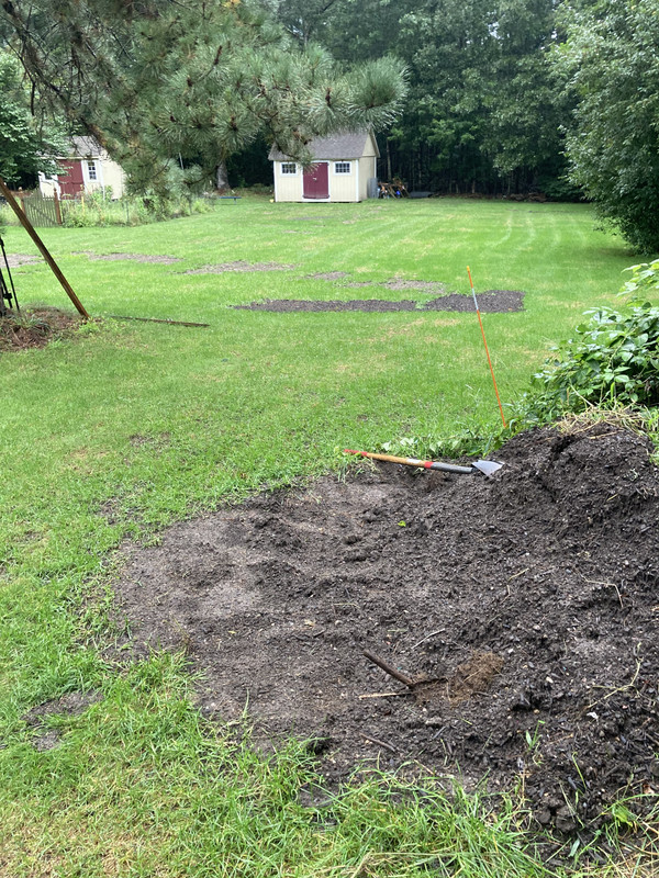 ABF3E547-D948-4366-AA4D-F1FB68CD737C