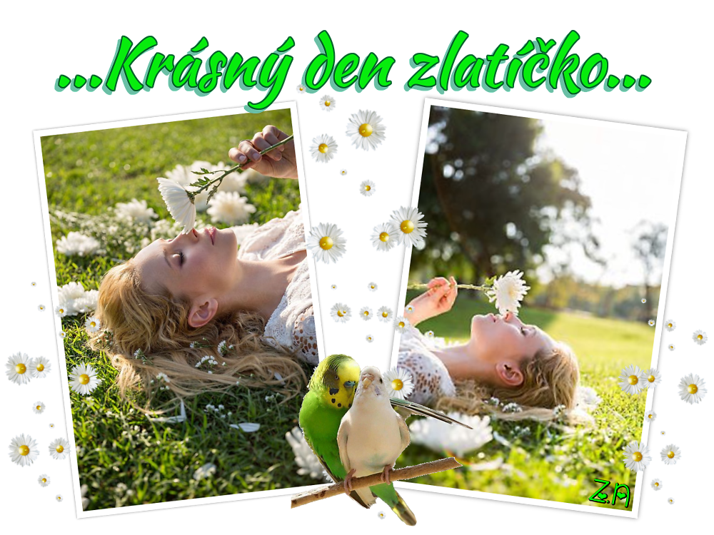 c0c7e61cb9-105828237-o2