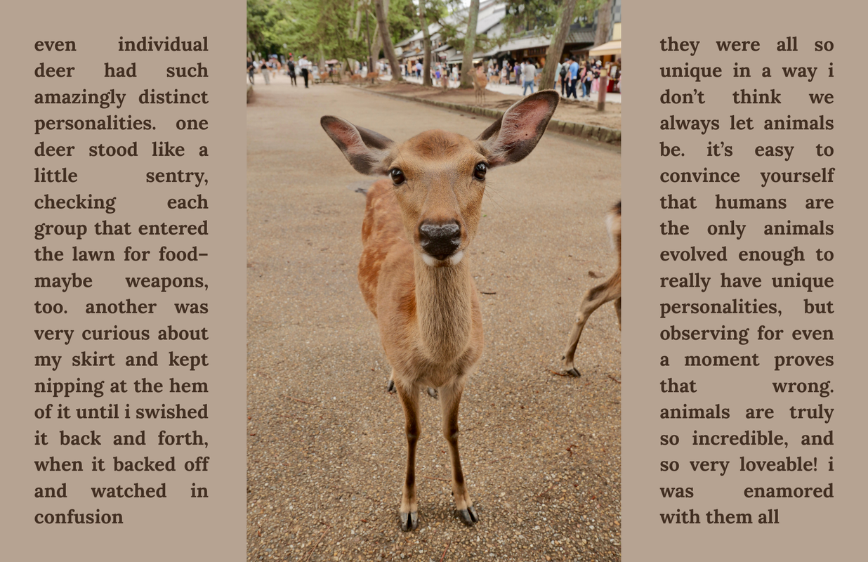 The third page of a zine titled 'the deer in nara are easy to love'.