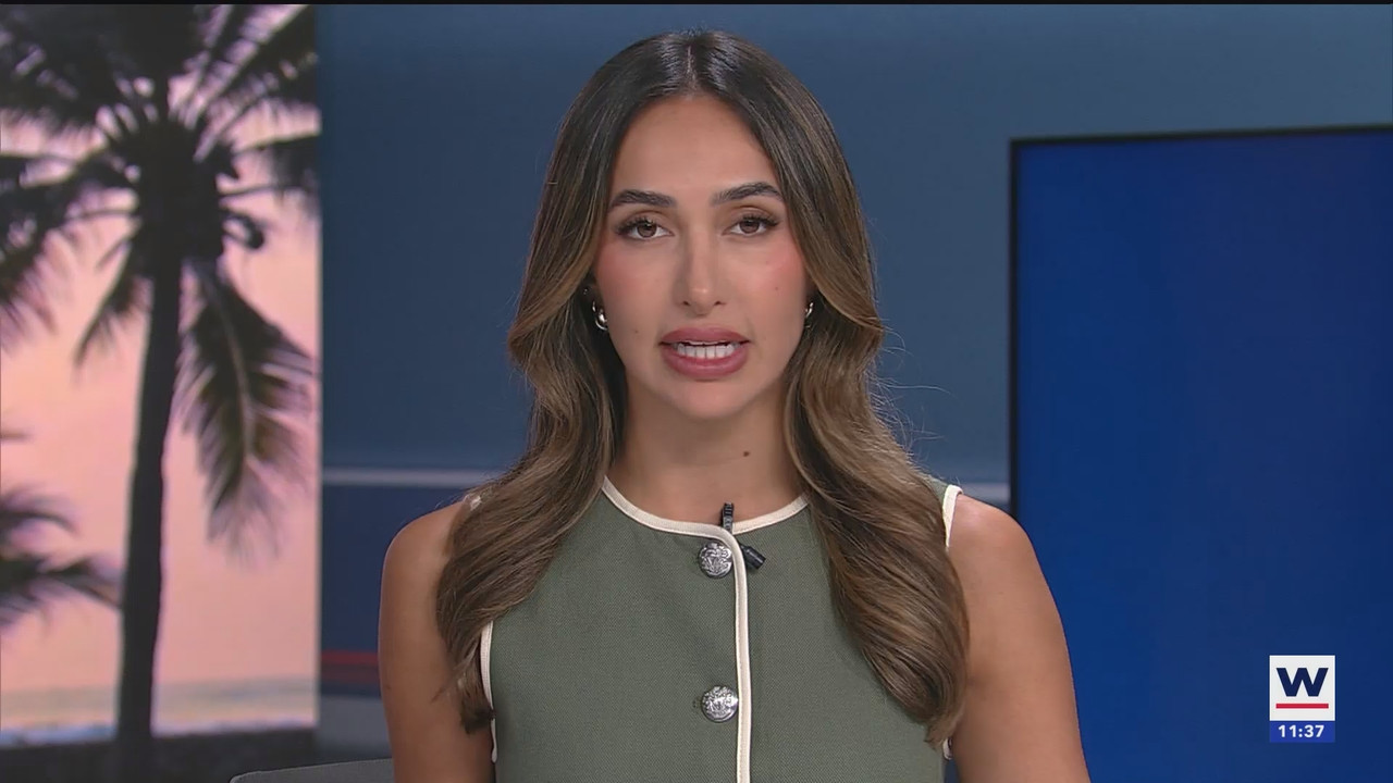 WINK NEWS at 1130am_20250824_16301700.ts_snapshot_08.15.196
