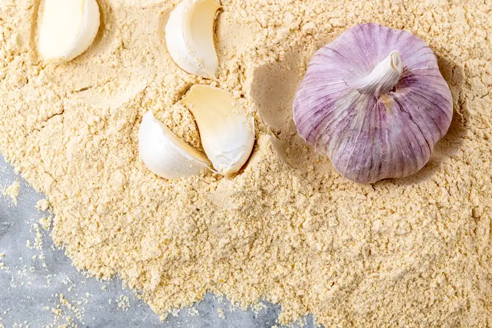 Garlic powder