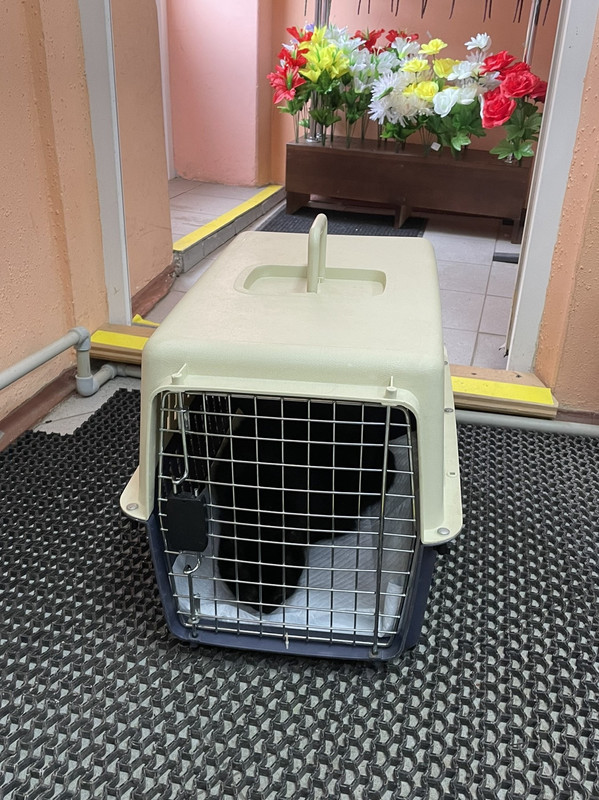 C4C8509E-B67F-4108-8EB4-B7D264D9BF37