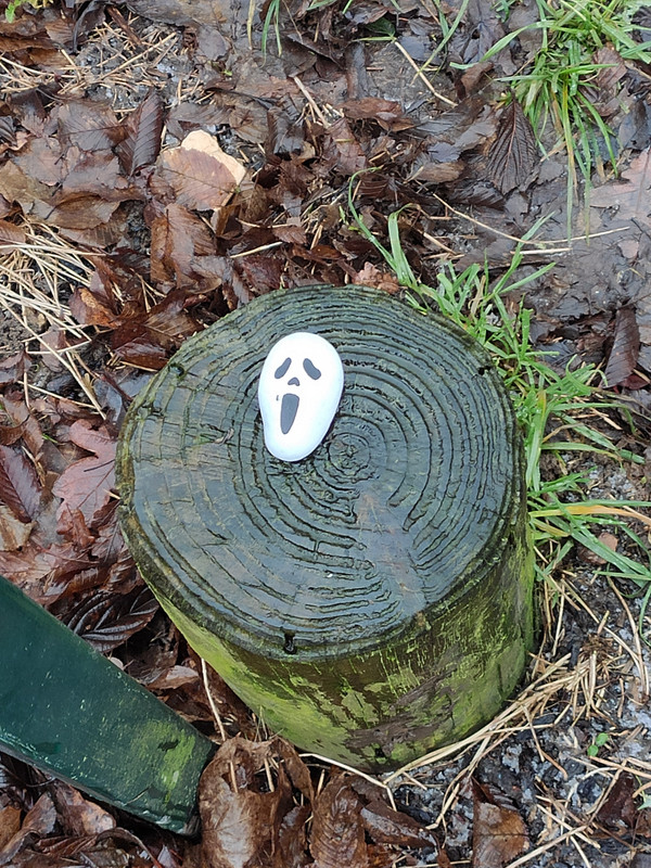 Painted stone