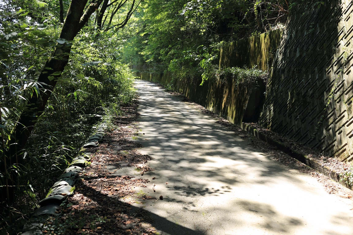 Suzukake Pass on Yamanashi Prefectural Route 509