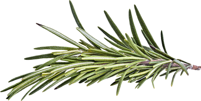 Clockwork Xmas (100)