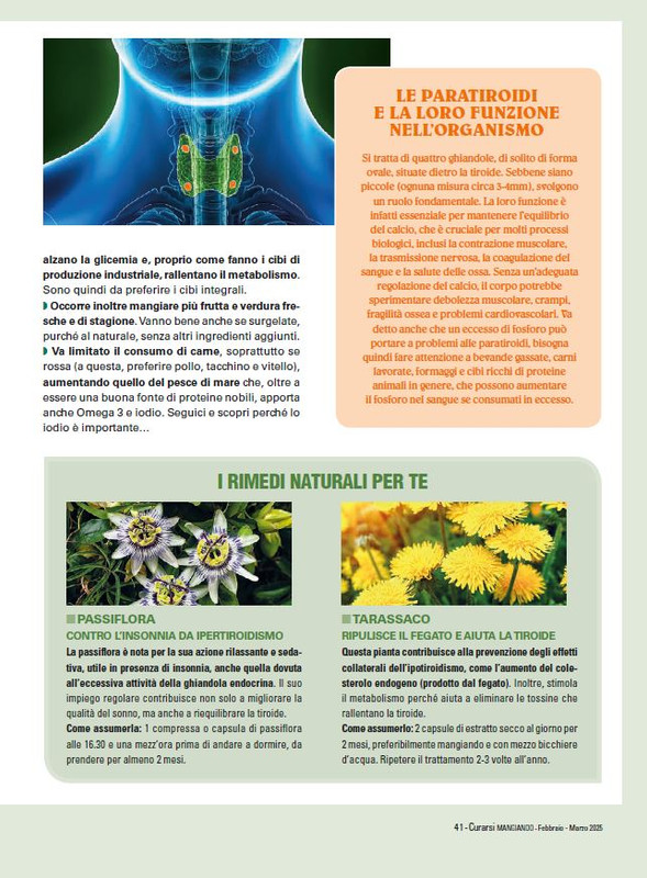 Cur Mang Feb-Mar 2025 (4)