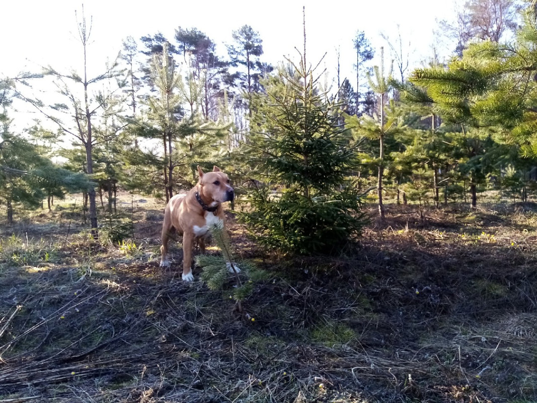 466AF1DC-1EB9-41E3-94CC-B74F68B73FAA