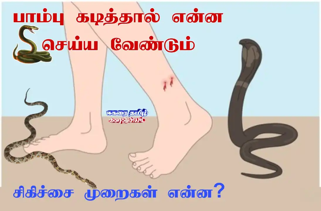 Topics tagged under பாம்பு on ஈகரை தமிழ் களஞ்சியம் Snakebite