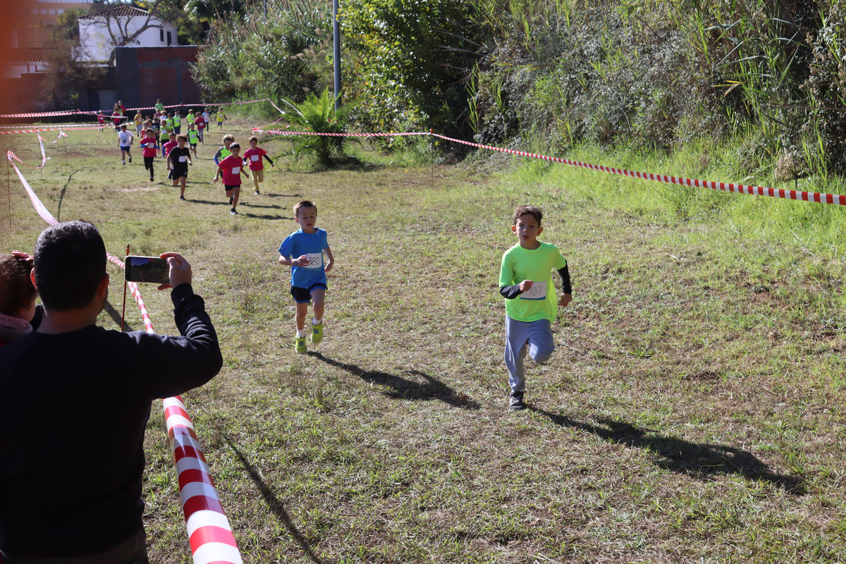 IMG-0594