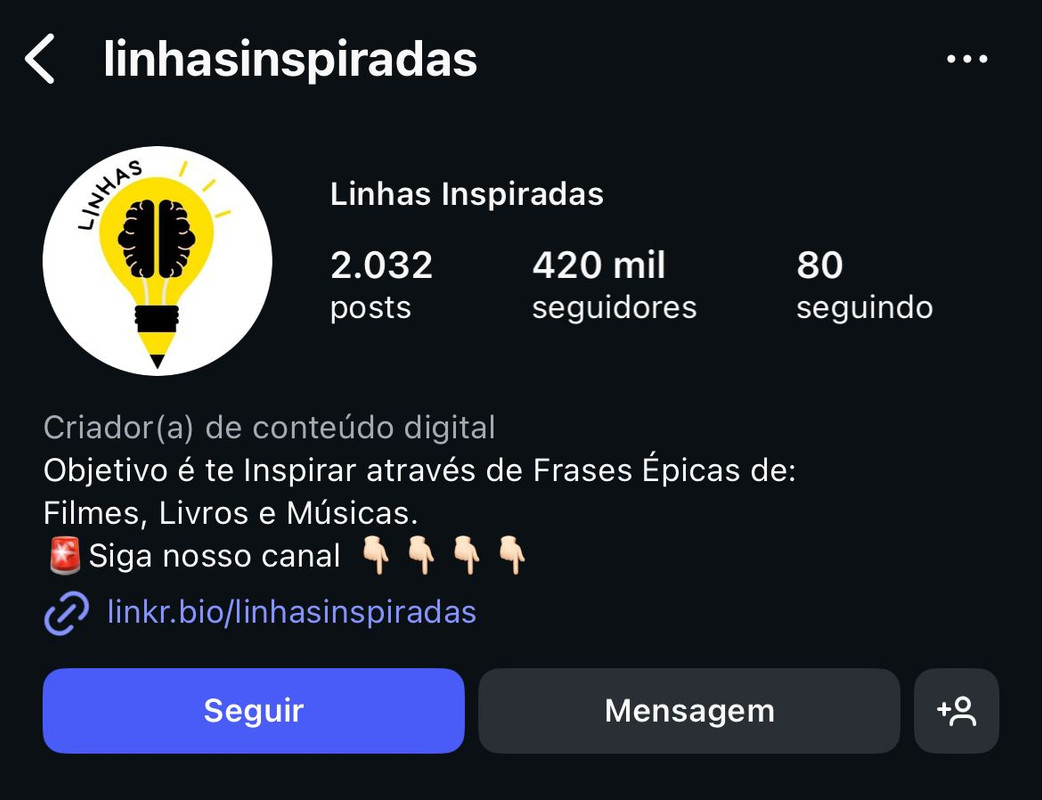 Instagram profile preview 2