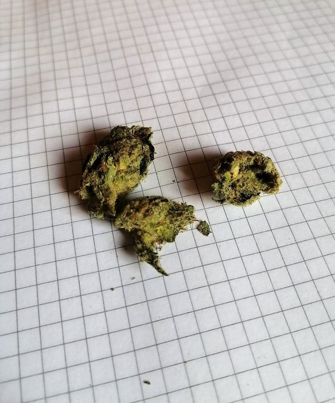 https://postimg.cc/mP6234B0