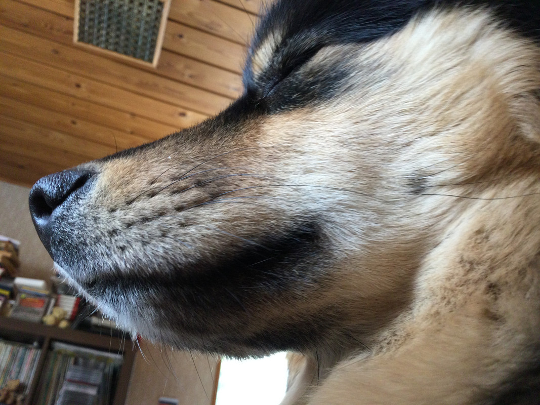 C241C16F-719B-4223-BAE9-EDB99EBBF27E