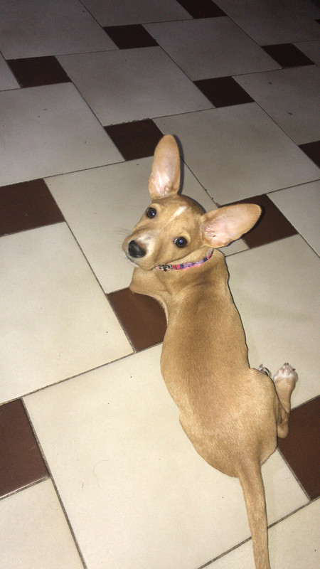 F4918604 D2C6 4C13 B87A C365169956AF