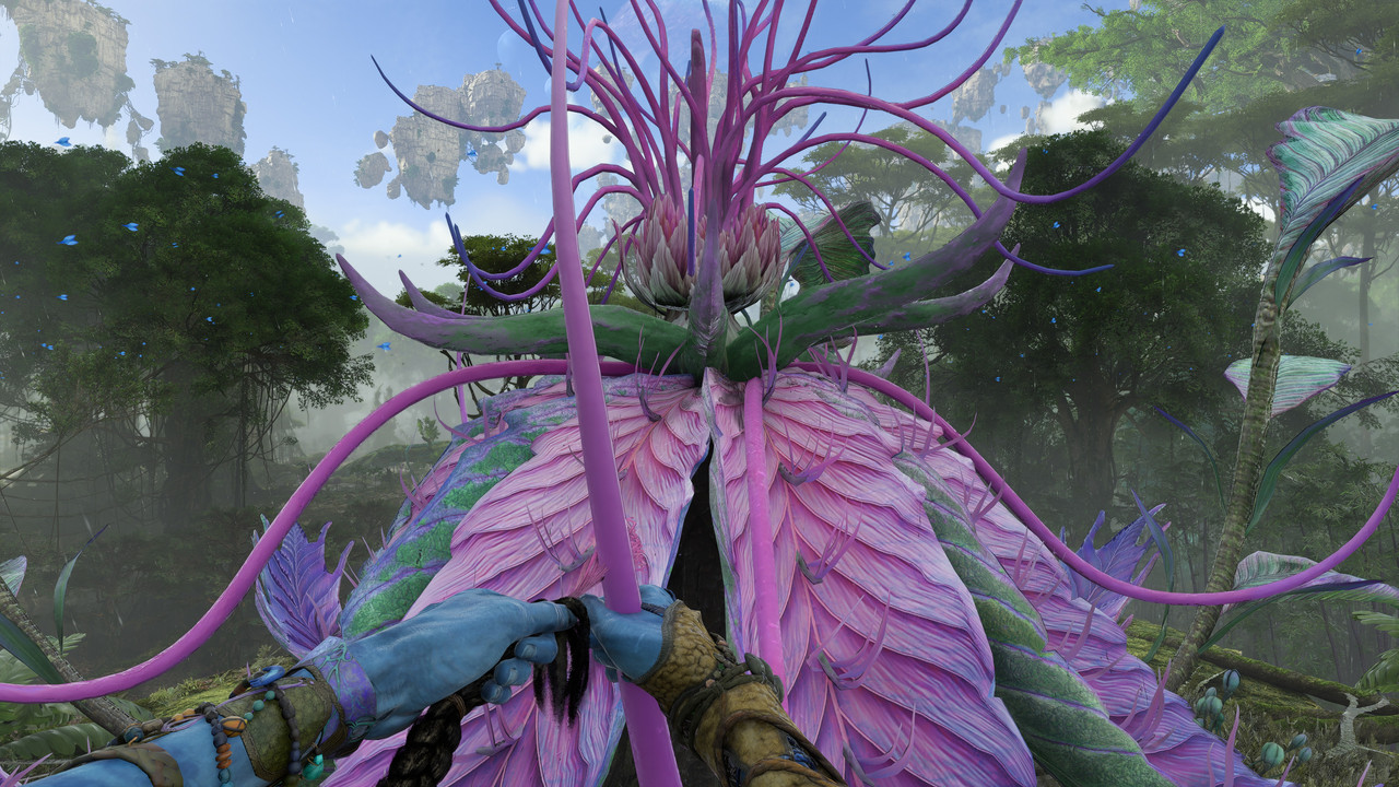 afop 2026 01 09 00 39 44 608