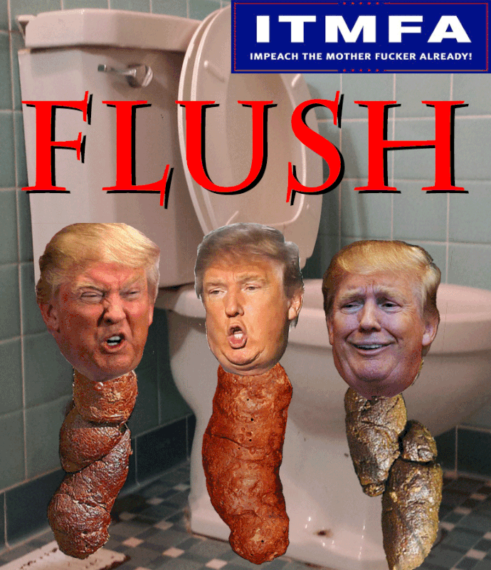 flush-this-turd-trump.gif