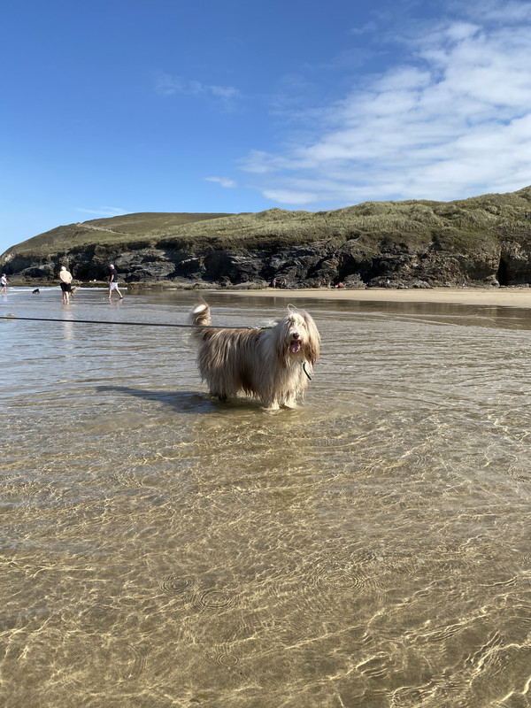 5F982A98-61A0-440A-8829-CCB361468D64