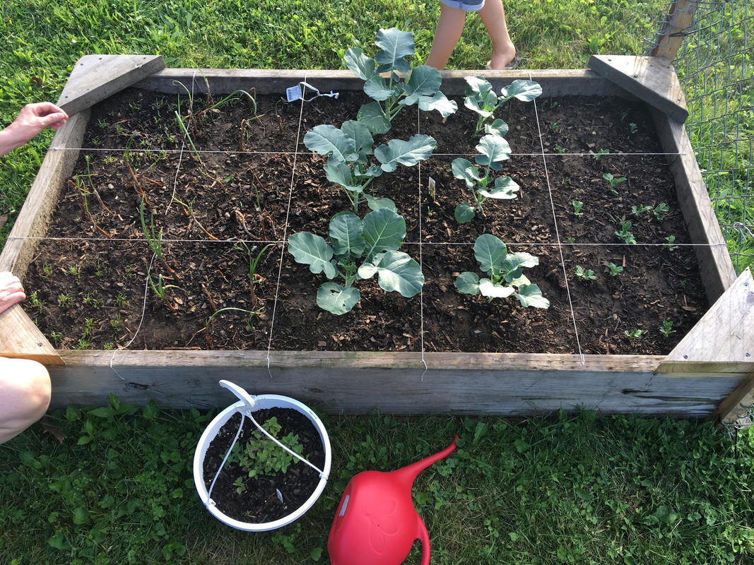 DD4D223E-3412-4178-B751-B840892B405E