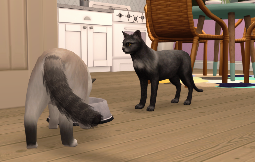 Sims2-EP9-RPC-2021-06-25-17-51-21-50