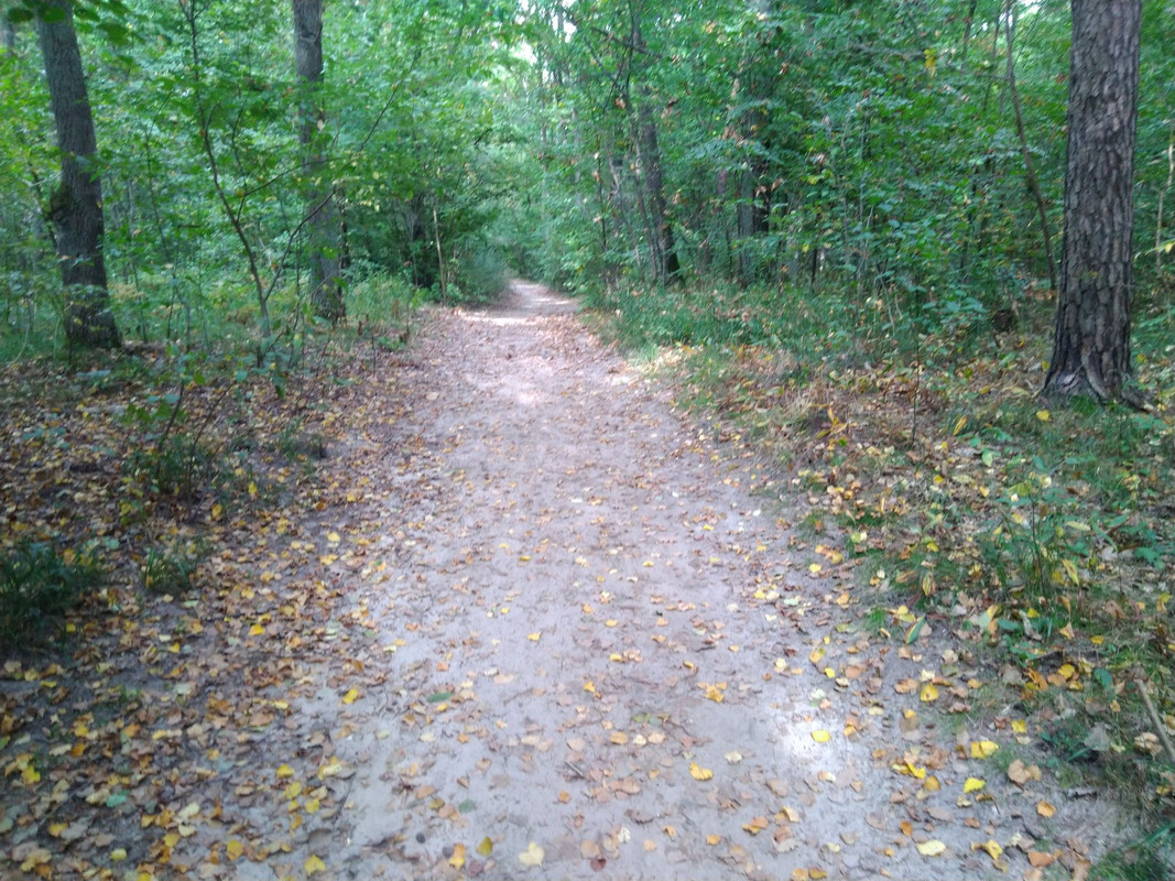 IMG-20210914-141741.jpg