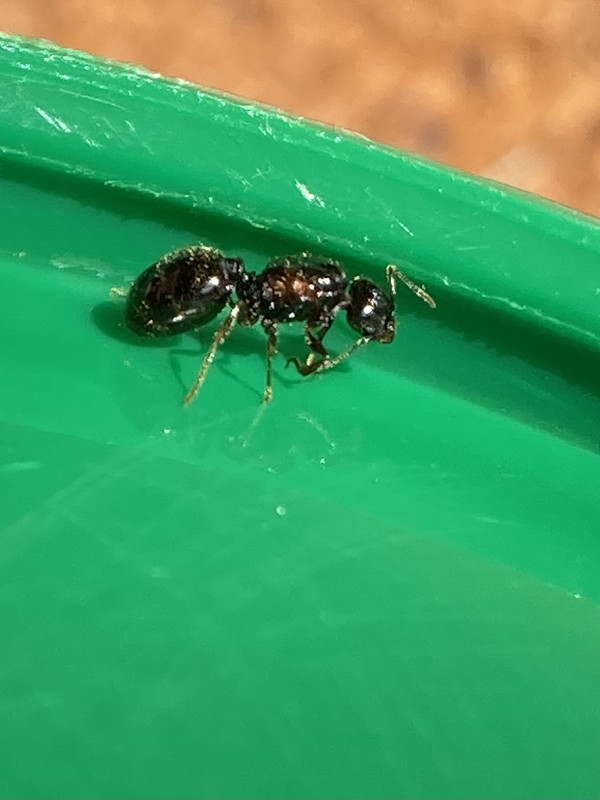 8BB8CFCB-0103-4C4A-8402-C0276ED284B0