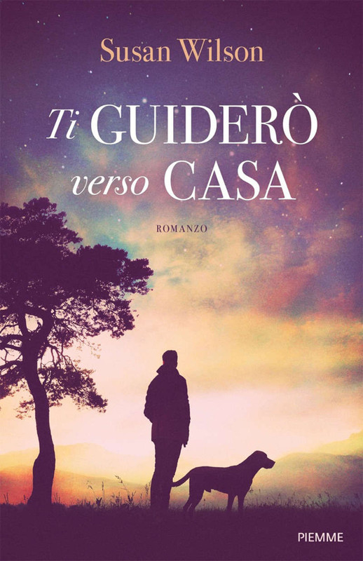 Susan Wilson - Ti guiderò verso casa (2016)