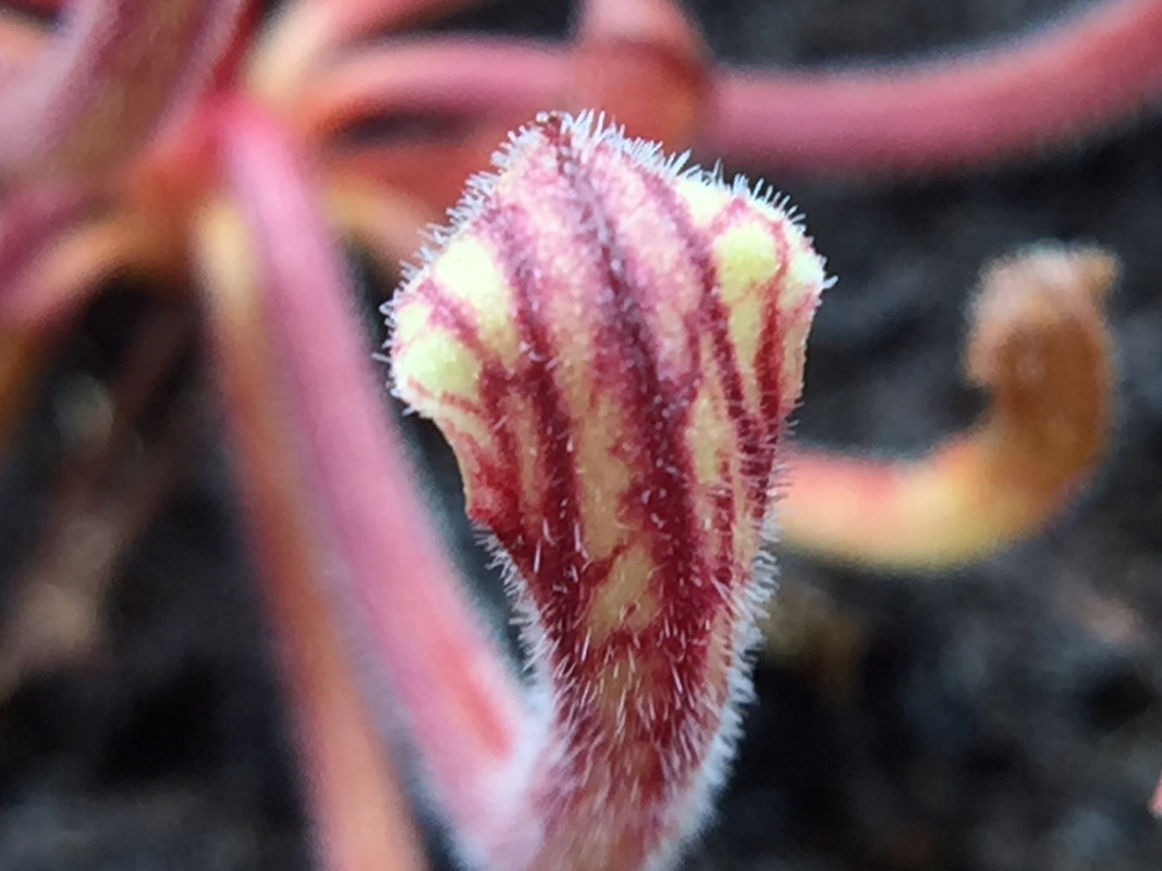 98CFEAD3-71D4-4544-BFC2-04C13E9D8B1F