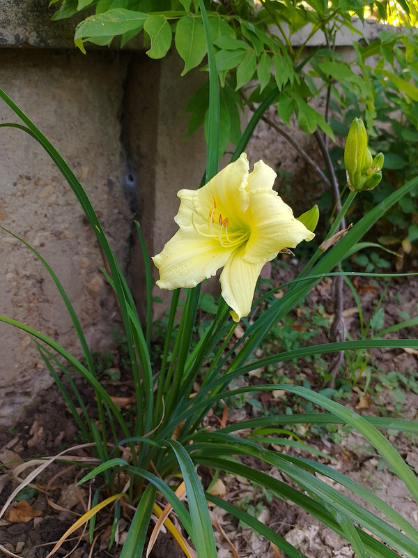IMG_20230611_085616_HDR