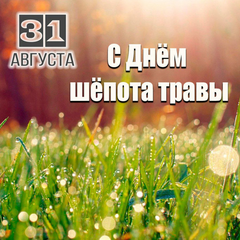 IMG_20230831_134155_813