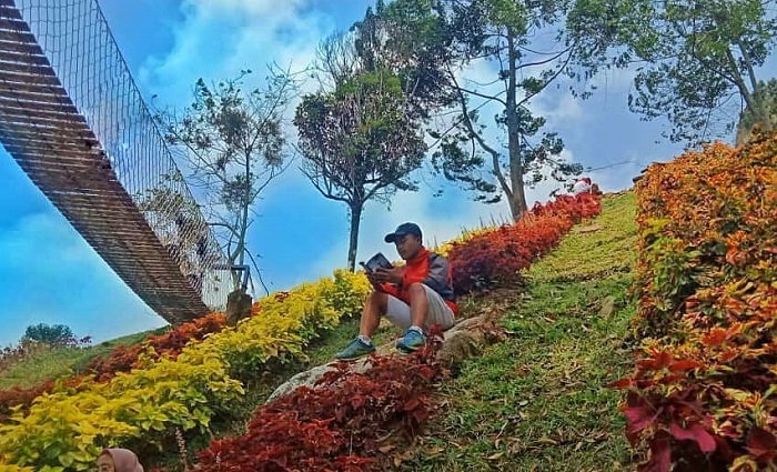 Taman Bunga di Bukit Halimun.