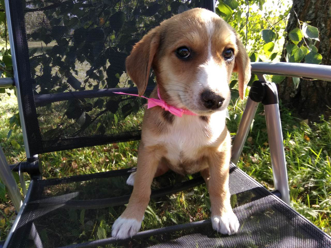 изображение_viber_2019-08-24_17-12-44