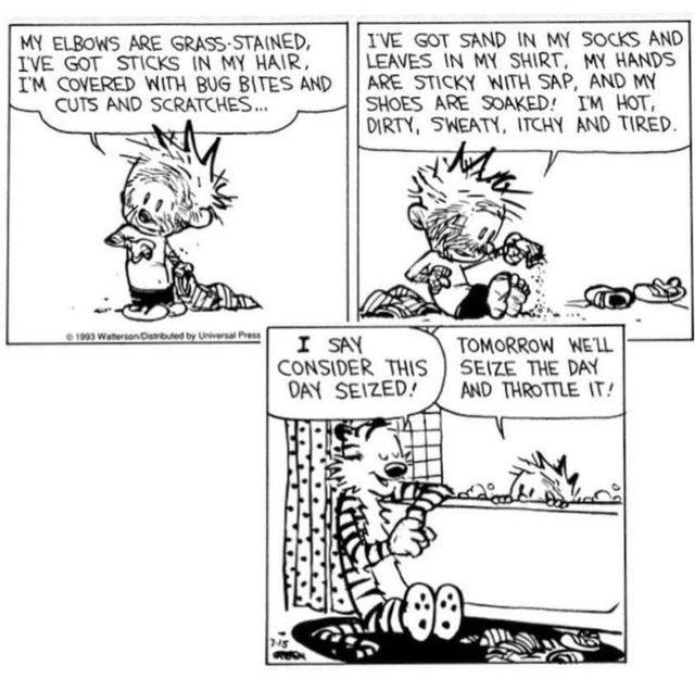 seize the day