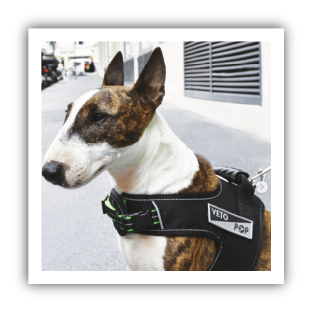 Site-Web-vignette-Instagram-05