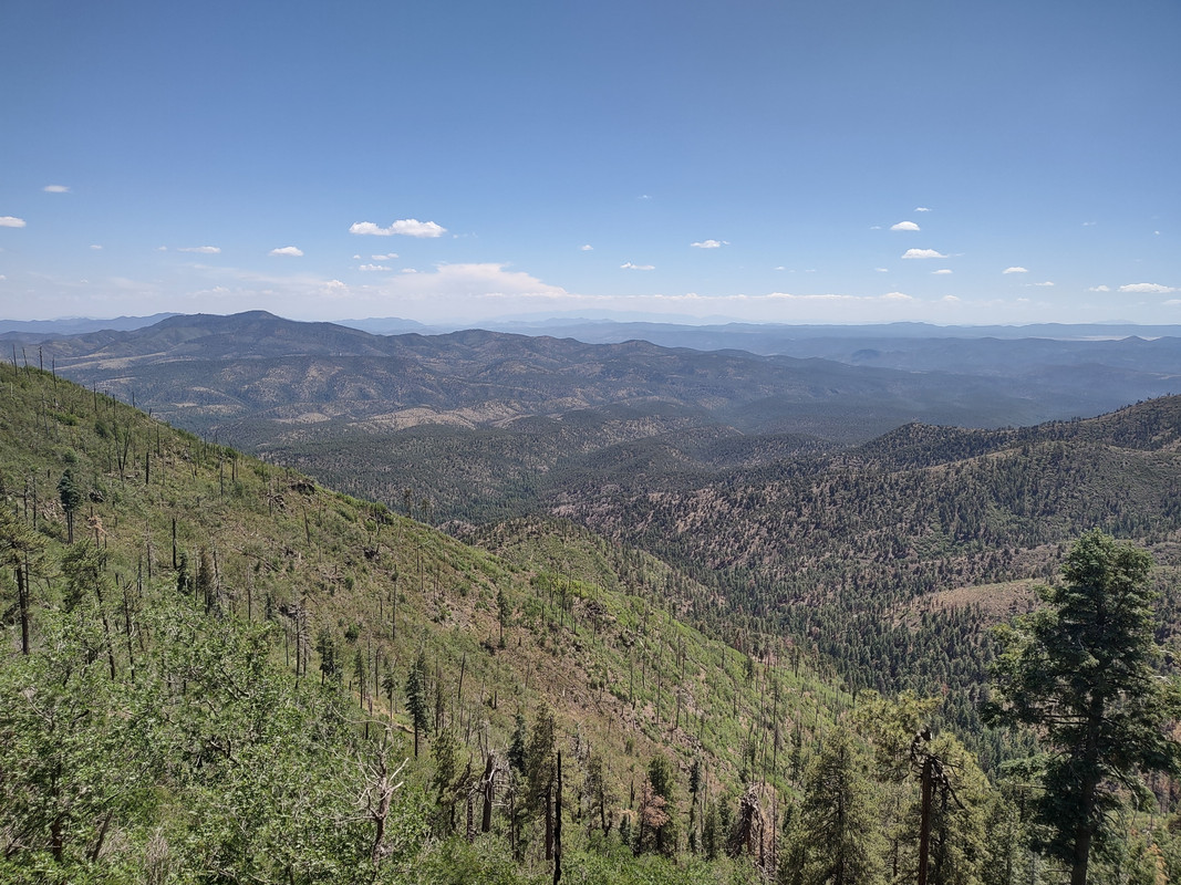 IMG_20250704_141305303_HDR